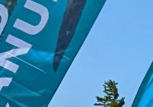 FlipFlag Beach Flag Fahne - Fahnendruck