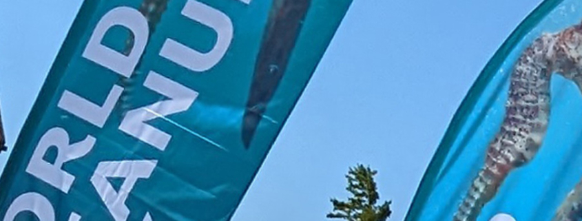 FlipFlag Beach Flag Fahne - Fahnendruck